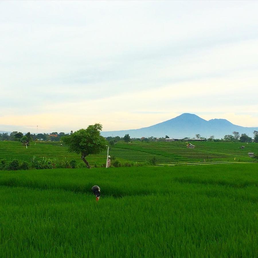 Canggu Beach Hostel Canggu (Bali) Ngoại thất bức ảnh